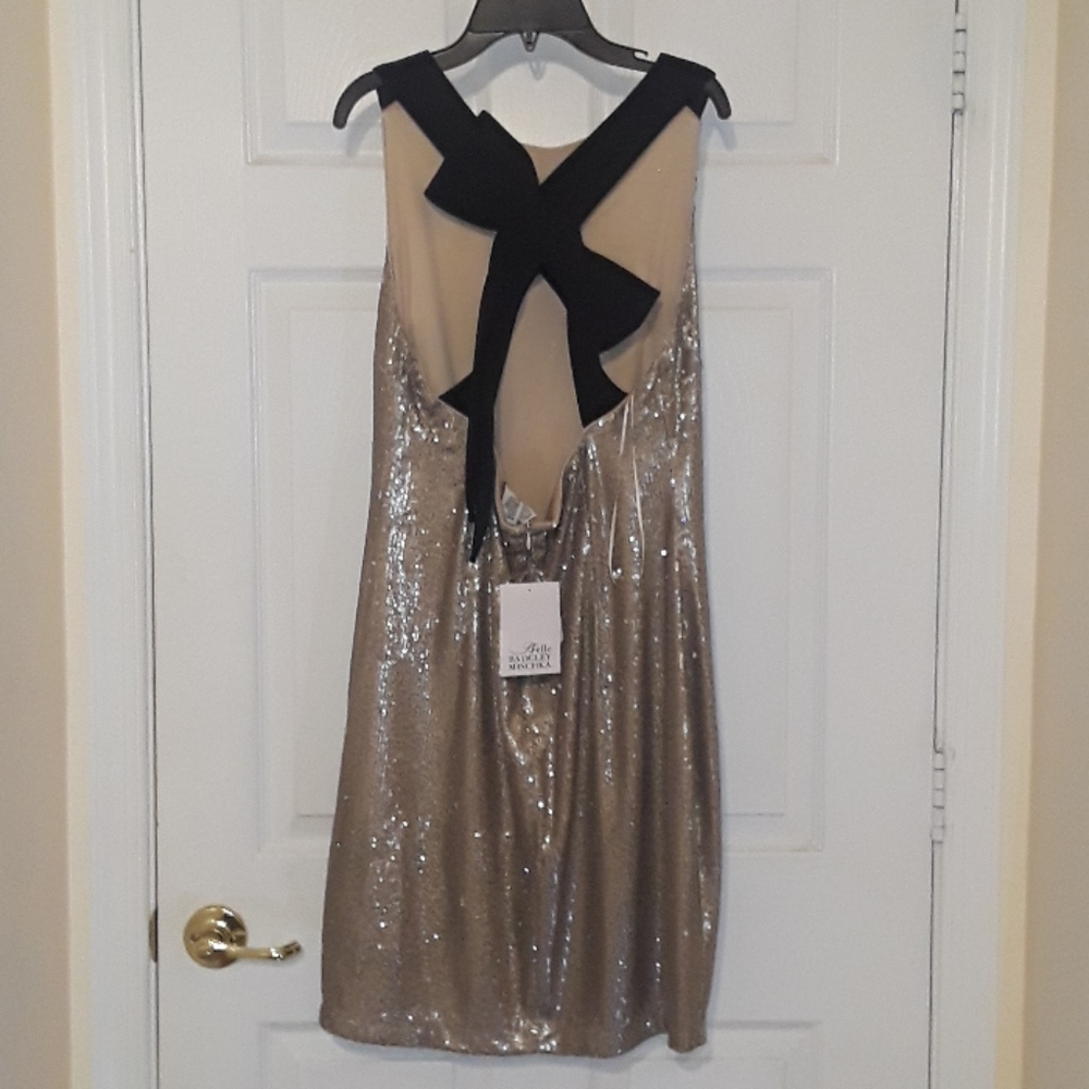 Badgley Mischka abi dress